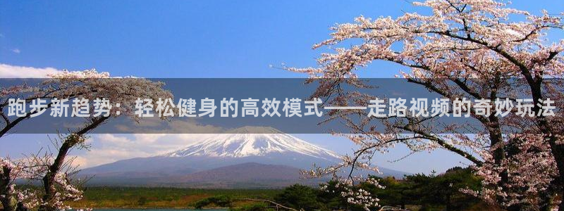 球王会体育
