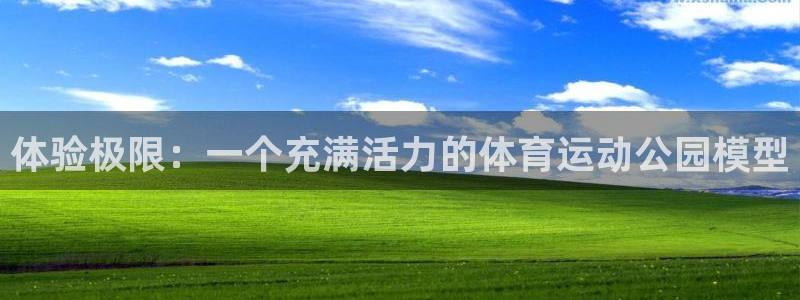 球王会体育