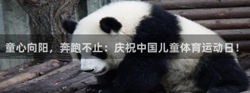 球王会体育