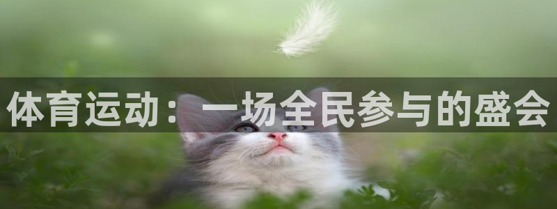 球王会体育