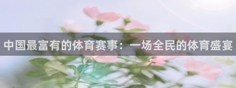 球王会体育：中国最富有的体育赛事：一场全民的体育盛宴