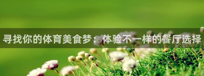 球王会体育：寻找你的体育美食梦：体验不一样的餐厅选择