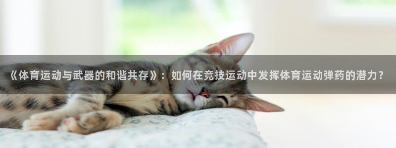球王会体育：《体育运动与武器的和谐共存》：如何在竞技运动中发挥体育运动弹药的潜力？