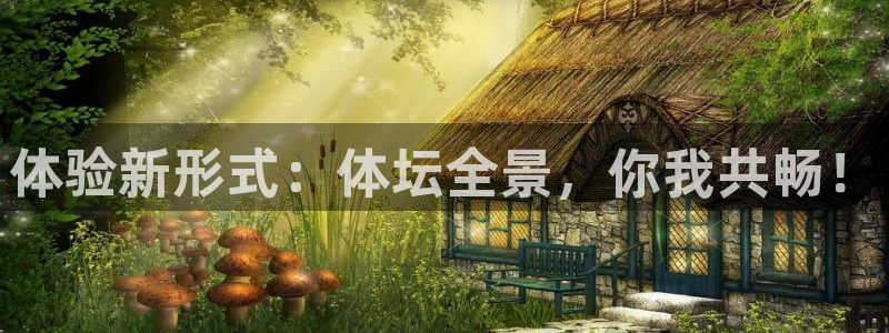 球王会体育：体验新形式：体坛全景，你我共畅！