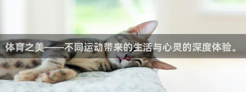 球王会体育：体育之美——不同运动带来的生活与心灵的深度体验。