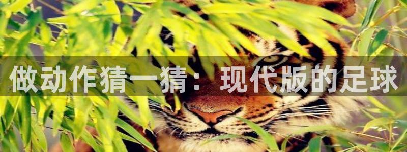球王会体育：做动作猜一猜：现代版的足球