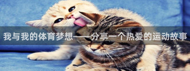 球王会体育：我与我的体育梦想——分享一个热爱的运动故事