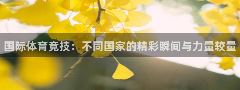 球王会体育：国际体育竞技：不同国家的精彩瞬间与力量较量