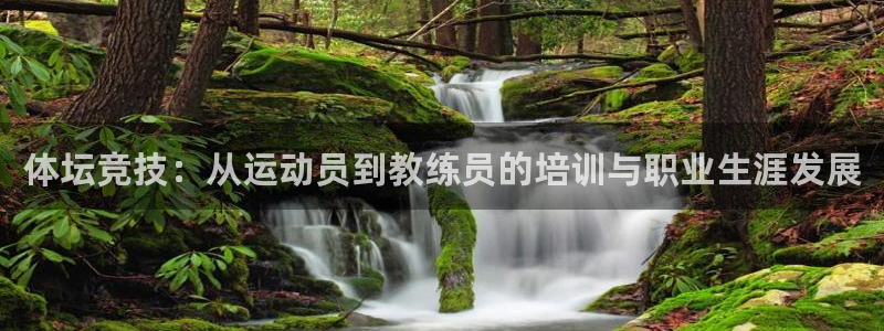 球王会体育：体坛竞技：从运动员到教练员的培训与职业生涯发展